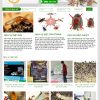 Theme wordpress diệt mối - côn trùng